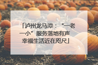 泸州龙马潭：“一老一小”服务落地有声 幸福生活近在咫尺